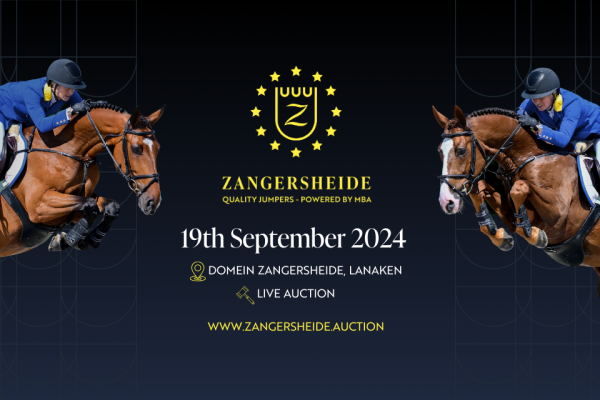 Zangersheide Quality Auction - Saturday Foals - Explore the
